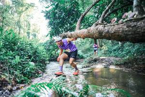 BIB: 
                            <button type="button" onclick="openModal(25437217)" class="btn btn-primary btn-sm float-right btn-popup" data-toggle="modal" data-target=".modal-high-quality">
                        <i class="fas fa-shopping-cart"></i> Add to Cart
                    </button>
                                            <button type="button" onclick="isThisMe(25437217, true)" class="btn btn-success btn-sm float-right btn-popup btn-isme hidden" data-toggle="tooltip" data-placement="bottom" title="นี่คือรูปของคุณใช่ไหม คลิกที่นี่เพื่อเอาเข้าอัลบั้ม">
                        <i class="fas fa-plus"></i> Add to album
                    </button>
                    <button type="button" onclick="isThisMe(25437217, false)" class="btn btn-warning btn-sm float-right btn-popup btn-isnotme hidden">
                        <i class="fas fa-ban"></i> Remove from album
                    </button>